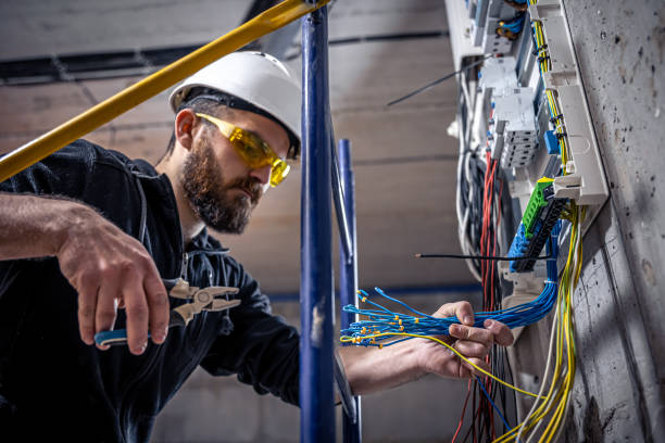 Best Electrical Upgrades for Homes  in Romeovle, IL