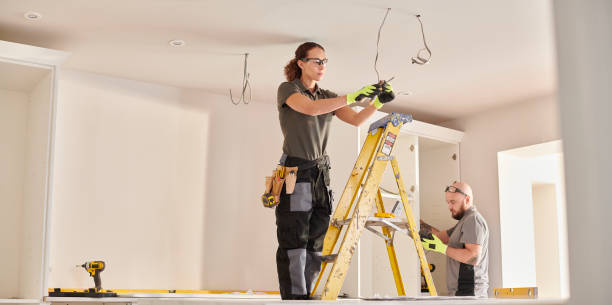 Best Electric Panel Repair  in Romeovle, IL